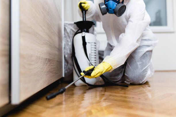 Best Best Pest Control Companies  in Gulf Hills, MS